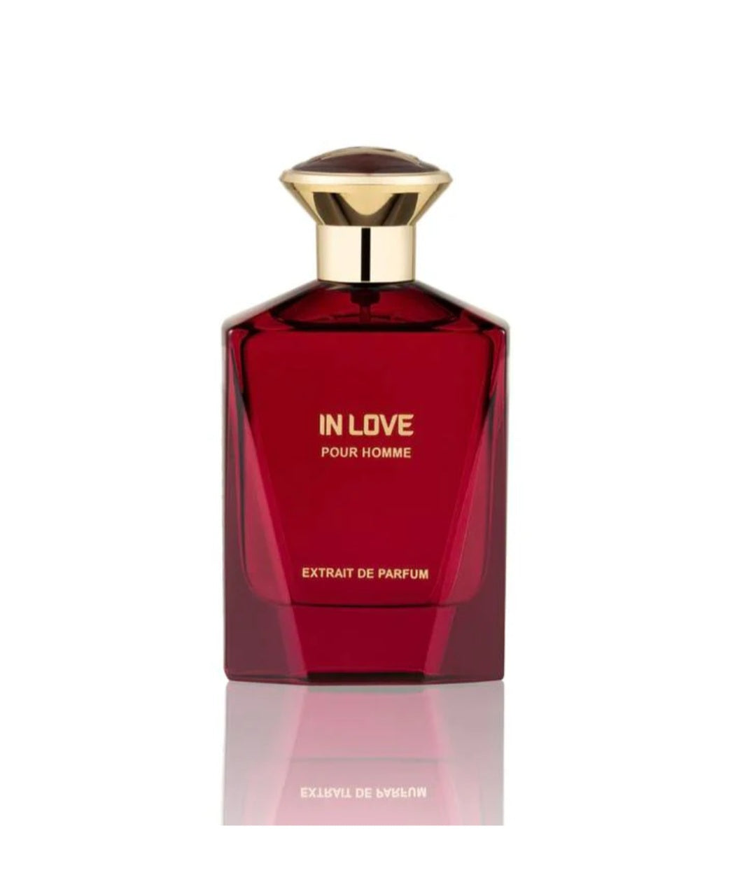 IN LOVE EXTRAIT DE PARFUM EDP 100ML FOR MEN BY FRAGRANCE STORY