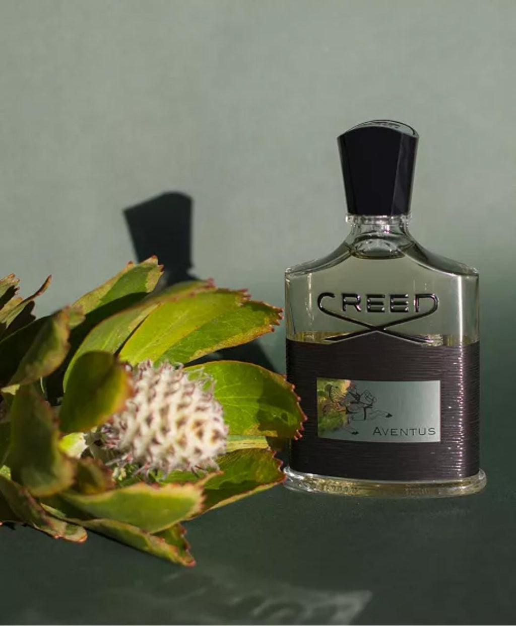 AVENTUS EDP EDP 100ML FOR MEN BY CREED